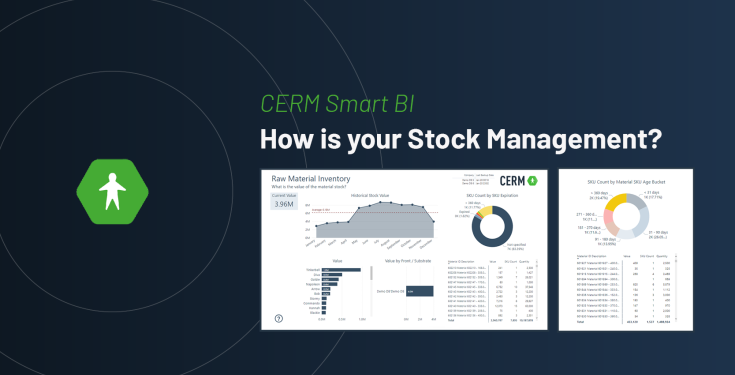 CERM Smart BI: how is your Stock Management